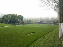 -合肥滨湖国家森林公园