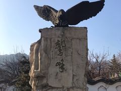 -北京鹫峰国家森林公园