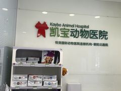 -悦宠凯宝动物医院·牙科·皮肤科(朝阳北路店)