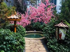 -悦隆庄温泉度假酒店