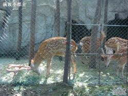 DSC00633-金庭庄园酒店彩虹厅