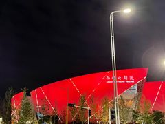 -郑州大剧院