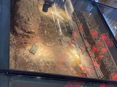 -北京路步行街-千年古道遗址