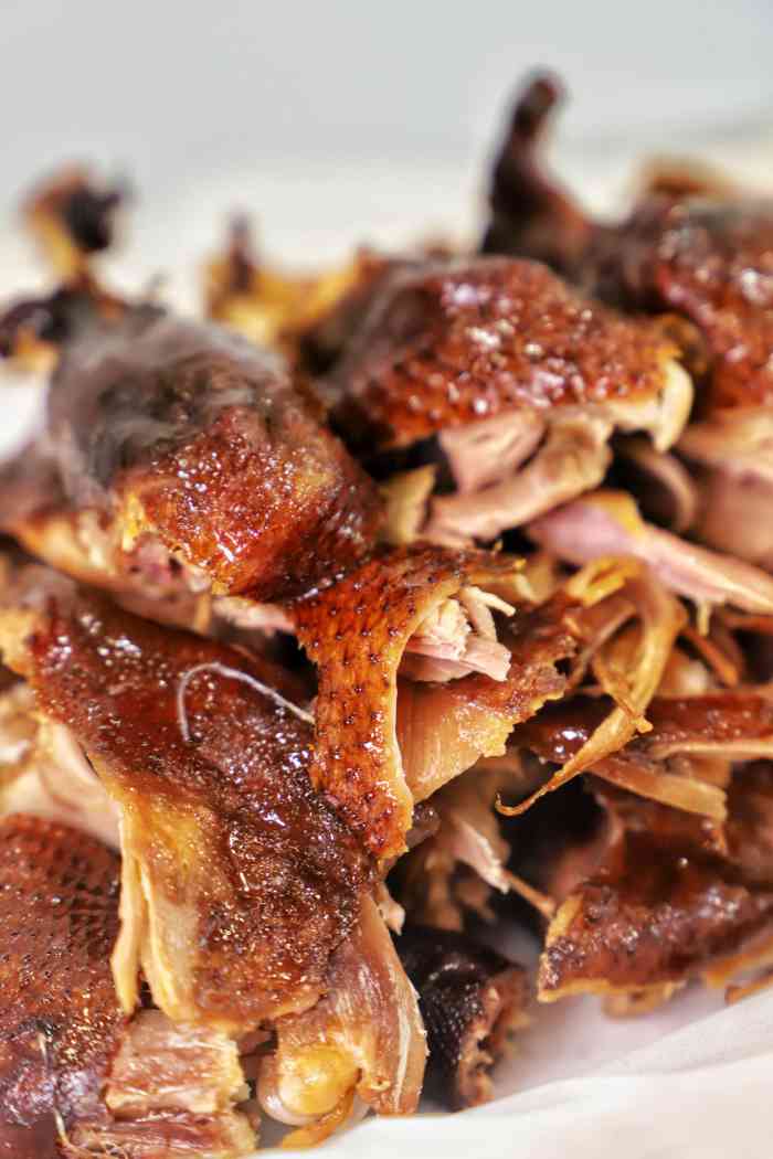 手撕老鸭(金新北路店)