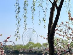 -无锡蠡湖国家湿地公园-蠡园