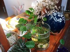 -铃木食堂(帽儿胡同店)