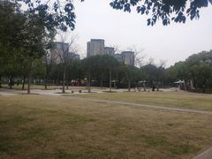 -新江湾城公园