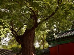 -历代帝王庙博物馆