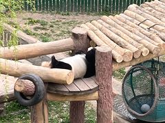 -沈阳森林动物园