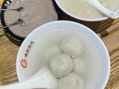 -海丝金凤(金鱼店)