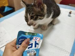 -恒幸动物医院·急重症转诊中心·神经内外科·CT核磁