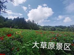-武陵山森林公园