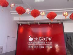 -天鹅到家·保姆月嫂育儿嫂(朝阳店)