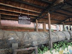 -海南槟榔谷黎苗文化旅游区