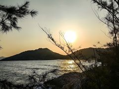 -广东惠东海龟国家级自然保护区