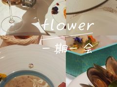 -晶雅花园西餐厅(南京首店)