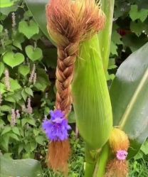 -Oasis Beauty水磨坊科技美肤中心