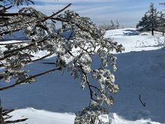 -亚布力新体委滑雪场
