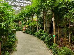 -南宫五洲植物乐园