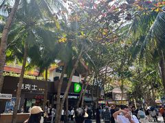 -海南分界洲岛旅游区