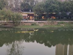 -何师傅美蛙鱼头(汉街店)