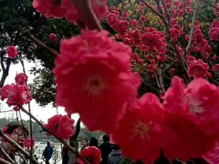 -圩墩遗址公园