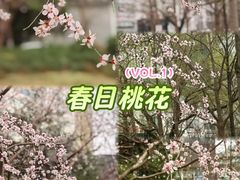 -保利剧院(保利大厦店)