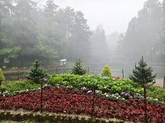 -庐山风景区花径公园