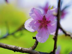 -九里河湿地公园