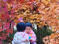 -乌素图国家森林公园