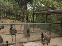 -青藏高原野生动物园