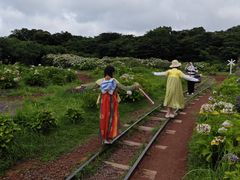 -济州森林小火车生态公园
