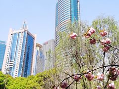 -陆家嘴中心绿地