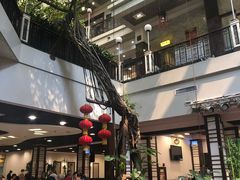 -广州酒家(文昌总店)