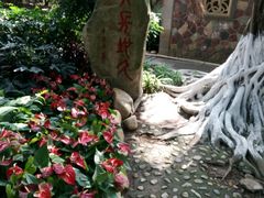 -清源山风景区