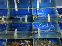 -雅逸居海鲜小厨