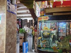 -食德喜·阳山鸡王食研基地