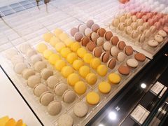 -BLACKSWAN黑天鹅(环球店)