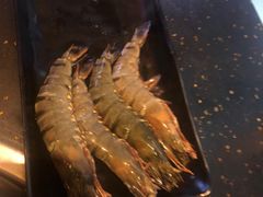 -熊出没日本烧肉放题