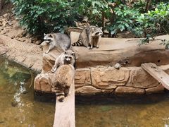 -长鹿旅游休博园