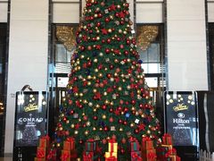 -富力希尔顿酒店·地阔自助餐厅