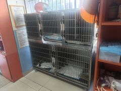 -瑞派福兴宠物医院犬猫全科·骨科·中西医结合(河东店)
