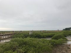 -北海金海湾红树林生态旅游区