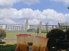 -南京医科大学(江宁校区)