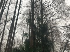 -西湖外事游船(花港观鱼码头)