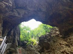 -大连天门山国家森林公园