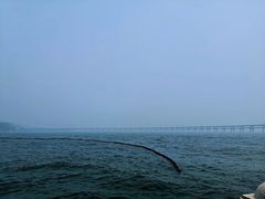 -星海湾跨海大桥