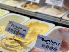 -Dooley's Premium Ice Cream