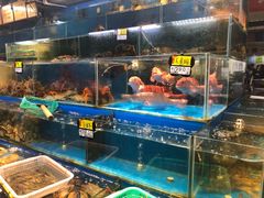 -岳各庄批发市场(西四环中路店)