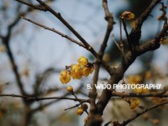 景点-白塘生态植物园